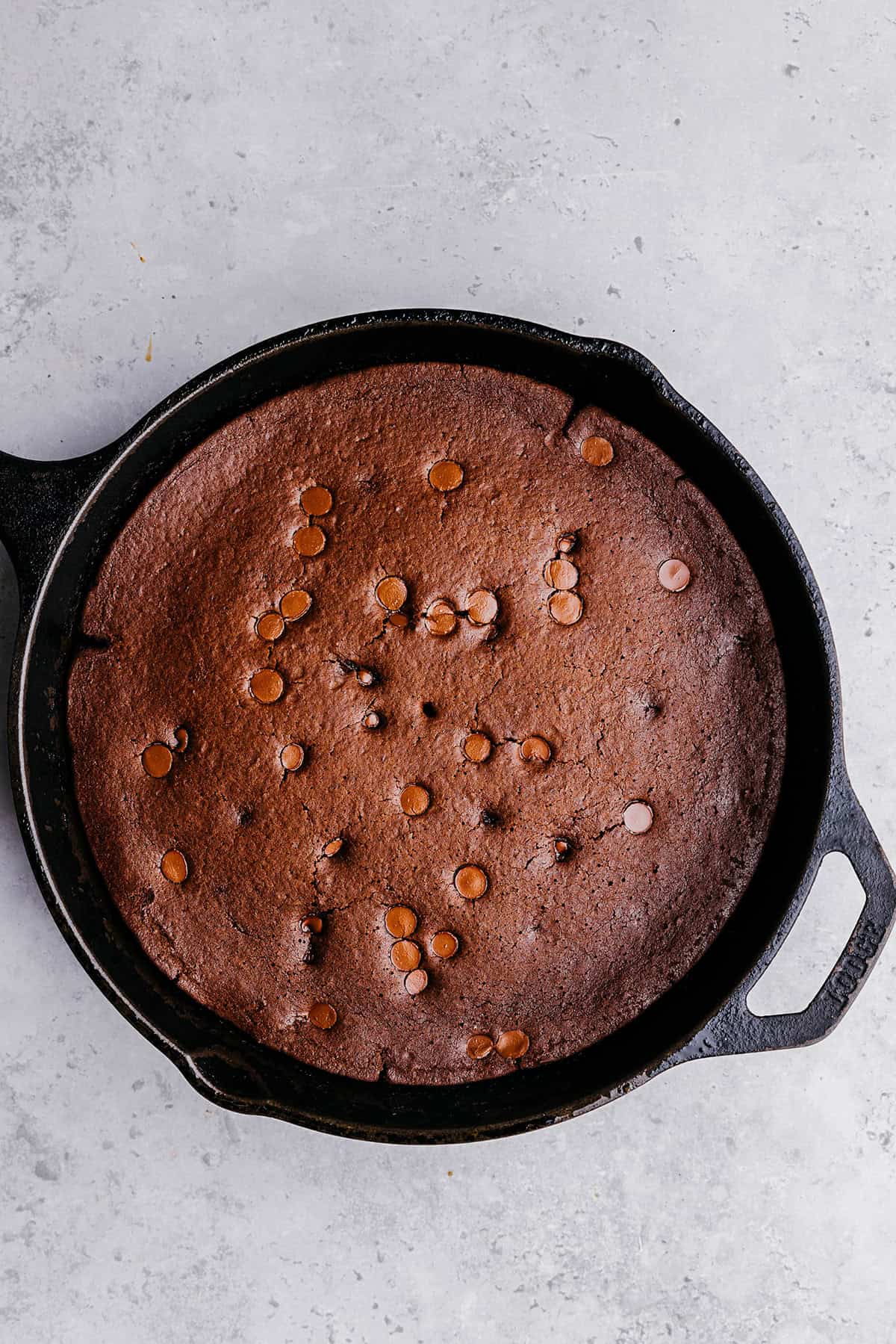 The absolute BEST Flourless Chocolate Chip Brownies that are fudgy, moist and delicious! Made healthier with zero refined sugar, protein-packed black beans, and Greek yogurt!